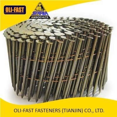 15 Degree Coil Nails of Size 2-1/2&quot; X 0.131&quot;, Coil Nails 4000 Count Per Box