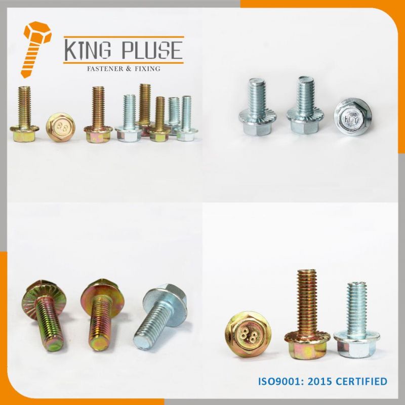 Hex Bolt/Carriage Bolt/Anchor Bolt/Flange Bolt/T Bolt/Square Head Bolt/Hex Socket Cap Screw/Square Bolt/Wing Bolt/Eye Bolt/Knurled Bolt/U Bolt/Hex Cap Screw
