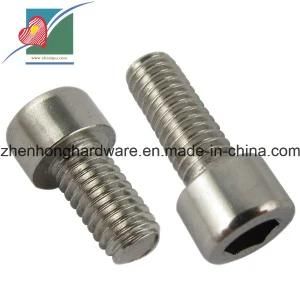 201 Stainless Steel Inner Hexagon Screw Cup Head Screw (ZH-SS-007)