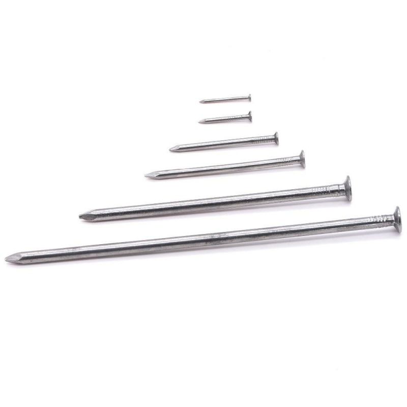 Best Quality Common Nail/Hot Dipped Nail