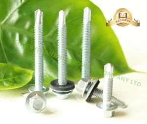 Hexagonal Head Machine Thread White Galvanized EPDM Washer Roofing Screw