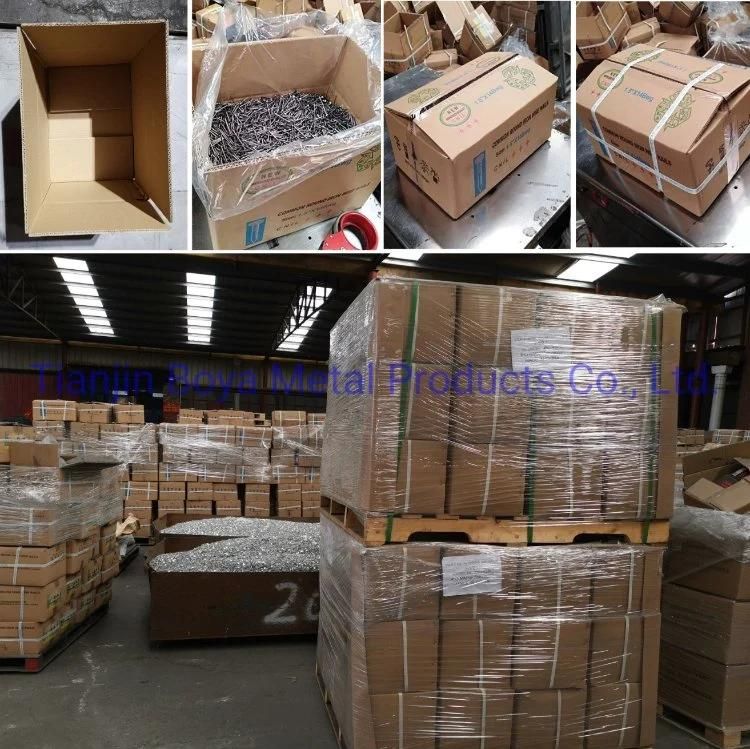 Hot Dipped Galvanized Flat Head Common Nails Iron Large Electro Galvanized Iron Spike Wire Steel Nails