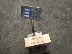 Professional Manufacturer of Construction Iron Wire Nail