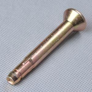 Non Standard Bulge Head Torx Bolt