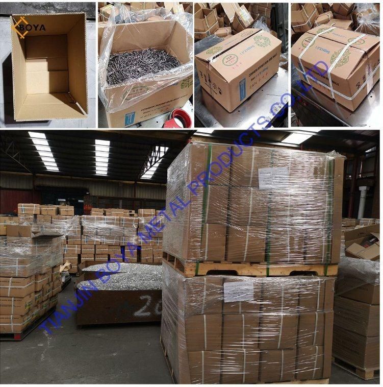 Building Nail/Polished Common Nail/ Iron Nail /Common Iron Nail/Building Materials