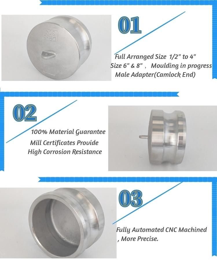 Stainless Steel 2" Dust Plug Dp Camlock Coupling