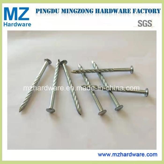 Eletro-Galvanized Nail Concrete Steel Nail