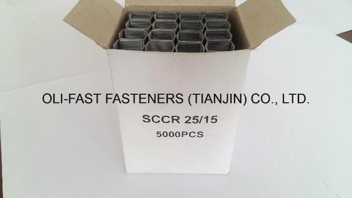 Fasco Staples Eb-Sccr25 Staples, 23ga, 1/4" Leg