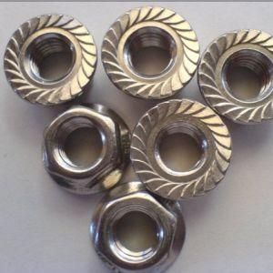Hex Flange Nuts SS304