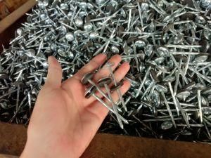 Roofing Nail, Electro Galvanized Roofing Nails with Cap Gunny Bag Packing