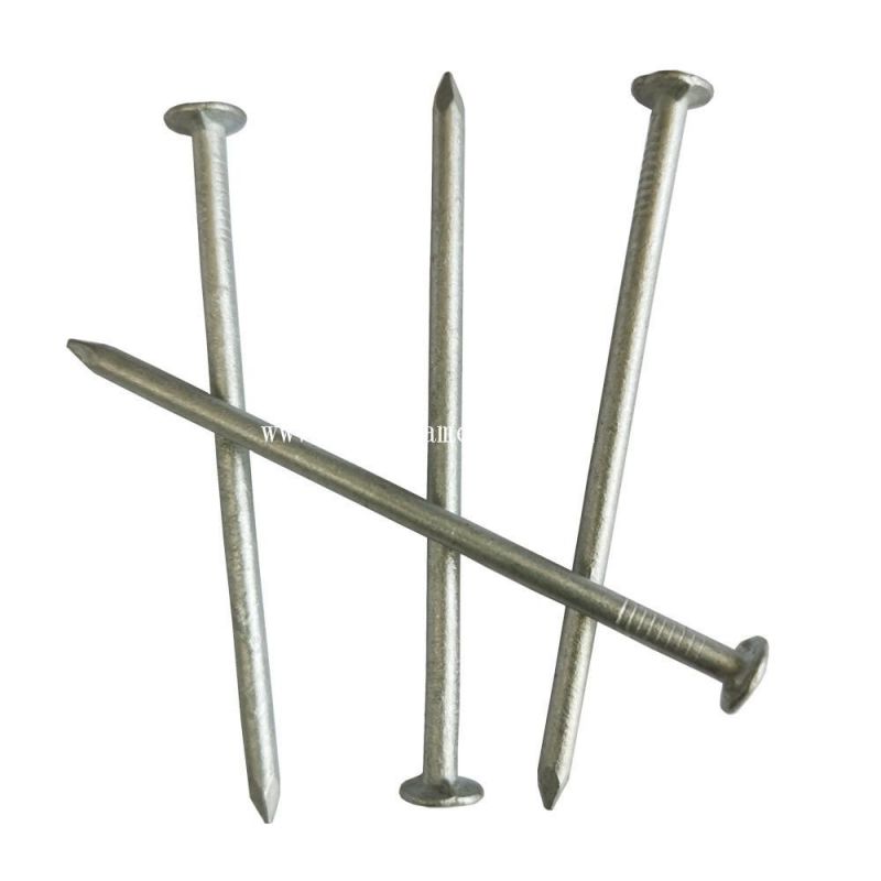 Hot Dipped Galvanized Headless Finishing Nails Brad Head Nail