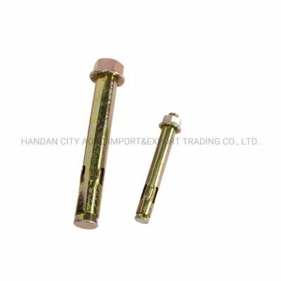 China Fastener Exporter 10*40 Hex Flange Sleeve Anchor in Ukraine