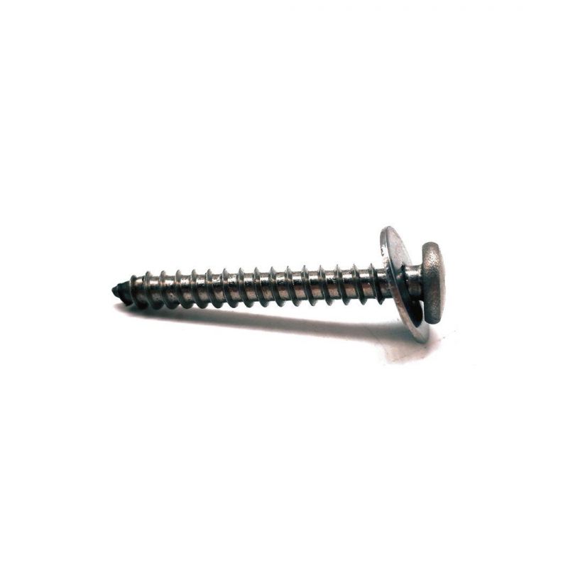 Stock DIN7981 Stainless Steel Phillips Pan Head Tapping Screw