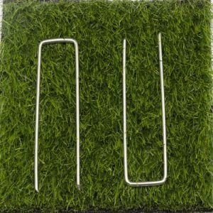 Hot Selling High Quality Coating Green U-Type Nails/SOD Staple/Grass Nails