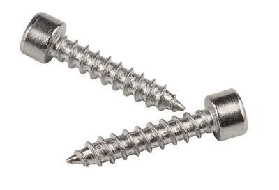 M10-M12 304 Stainless Steel Hexagon Socket Self Tapping Screw Speaker Cup Head Pointed Tail Self Tapping Screw