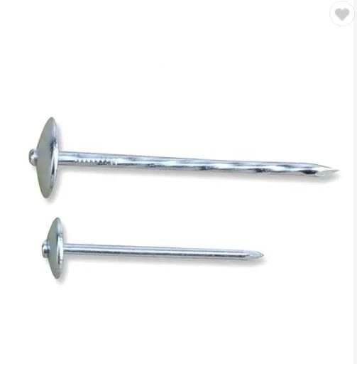 HD Galvanised 3" X 9ga 25kg Box Roofing Nails with Umbrella Head /Jolt Head Nails /Roofing Nails