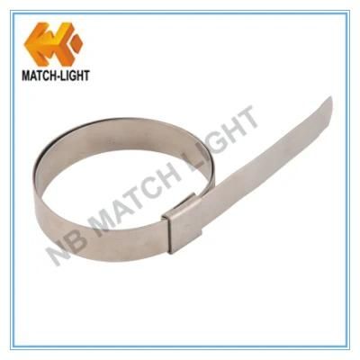 Stainless Steel 201 Center Punch Hose Clamp for Australian Market