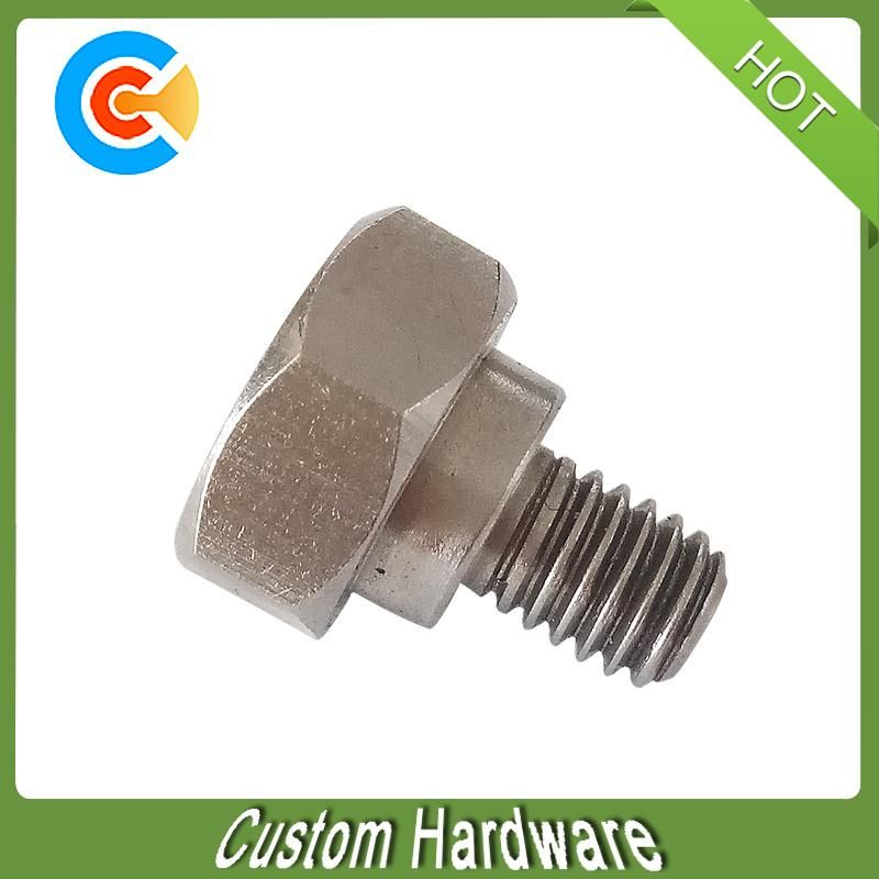 DIN/ANSI/BS/JIS/Customized Stainless Steel Hexagon Socket Head Cap Screw for Faucet/Roofing/Machine