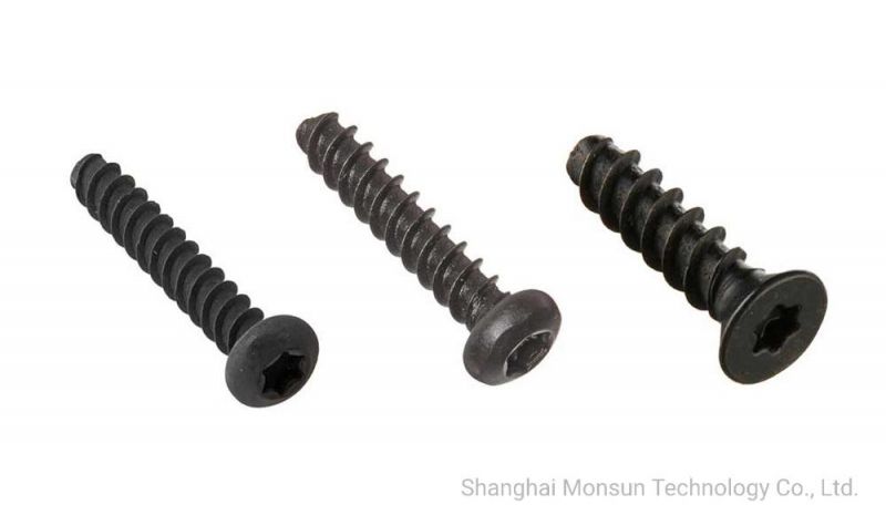 Harden Steel Torx / Phillips Pan Head Self Tapping Plastic Screws