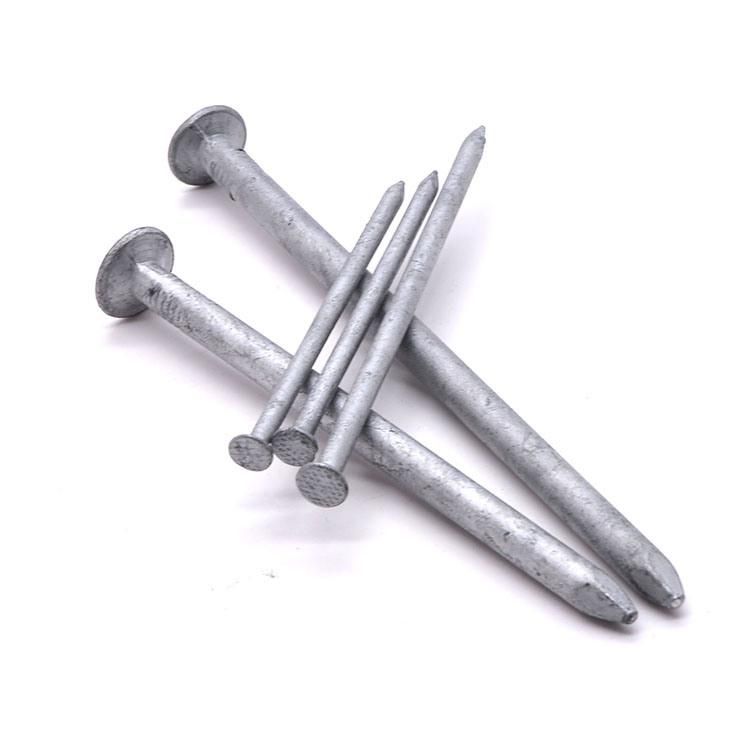 Angola Zambia Namibia Market/High Strength Polished Common Nails with Head for Wood Product