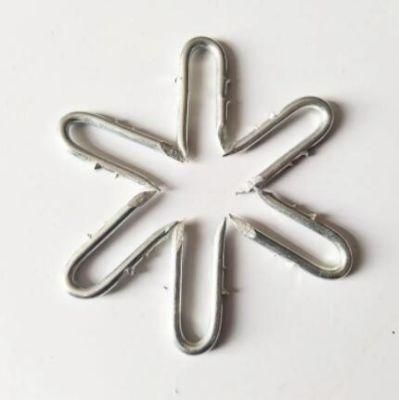 Eg Babred U Nails Eelctro Galvanized Staples for Fence