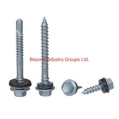 Screw Factory From China