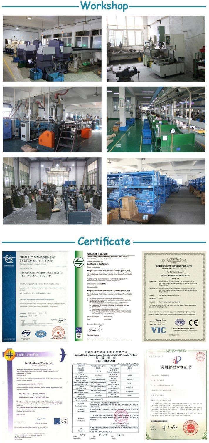 Aro Type Pneumatic Air Hose Quick Coupling Manufacturer