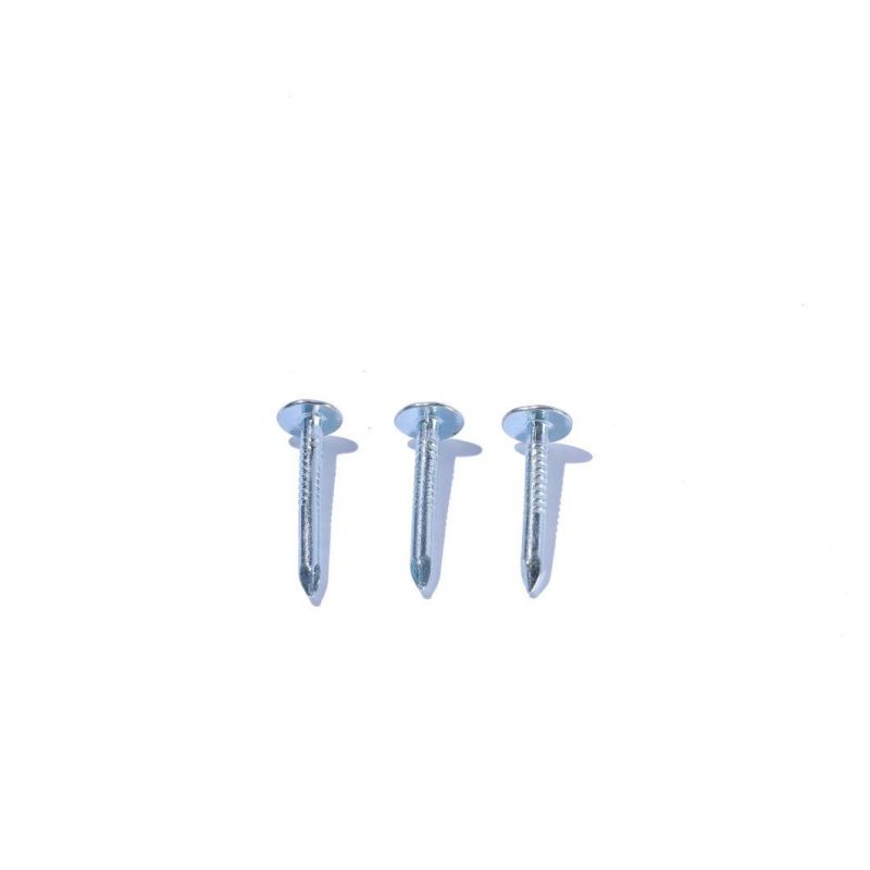 Professional Linyi Factory Galvanized Roofing Felt Clout Nail for Construction