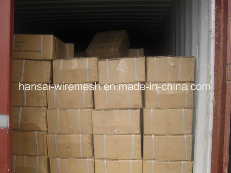 Factory OEM Common Galvanized Iron Polished Nail