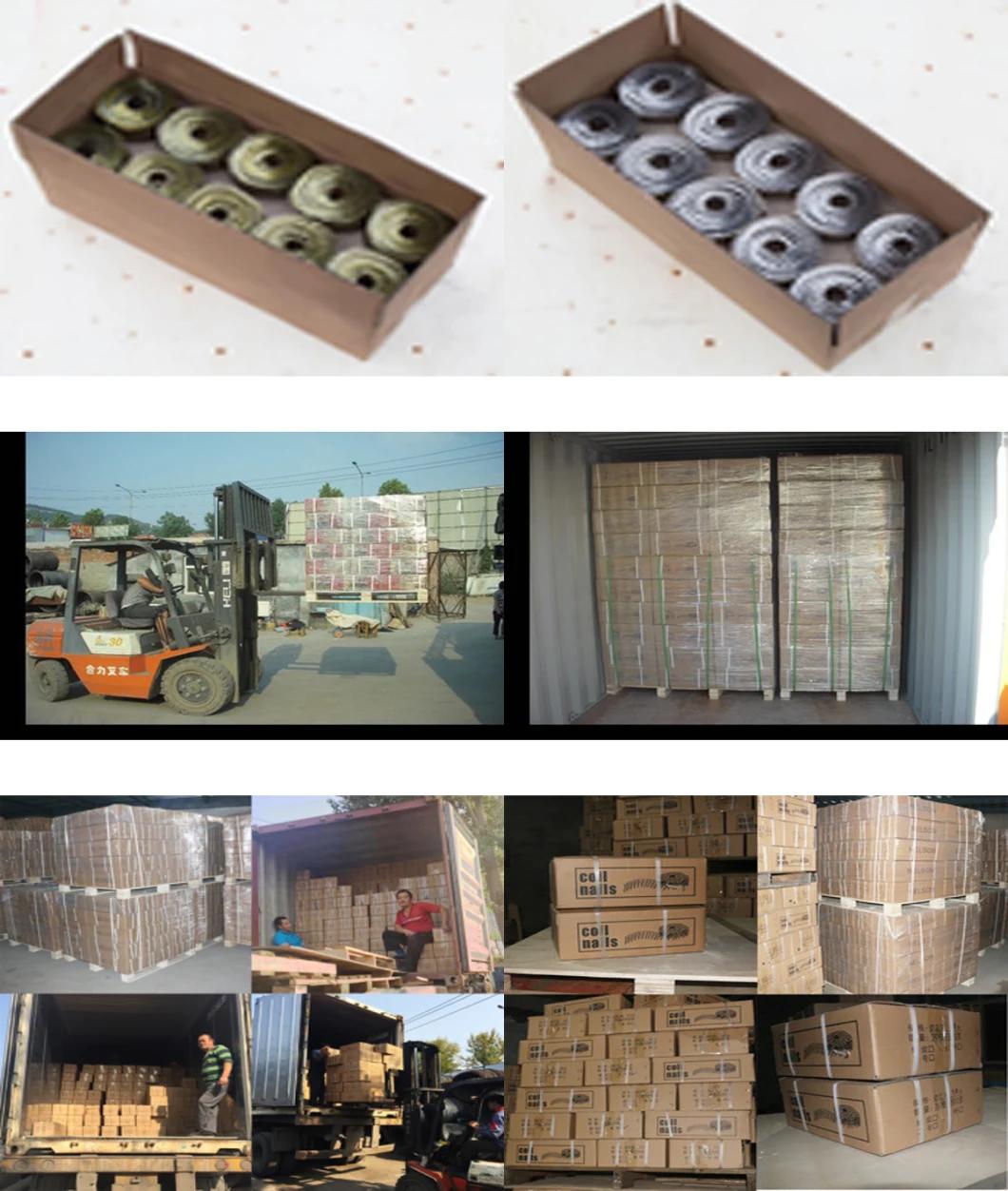 High Quality 15 Degree Coated Coil Nails 1"-4" 16000PCS/CTN for Pneumatic Coil Nailer