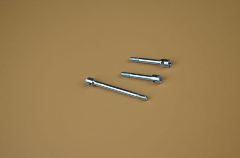 Special Screw/Screw/Fastener/Bolts