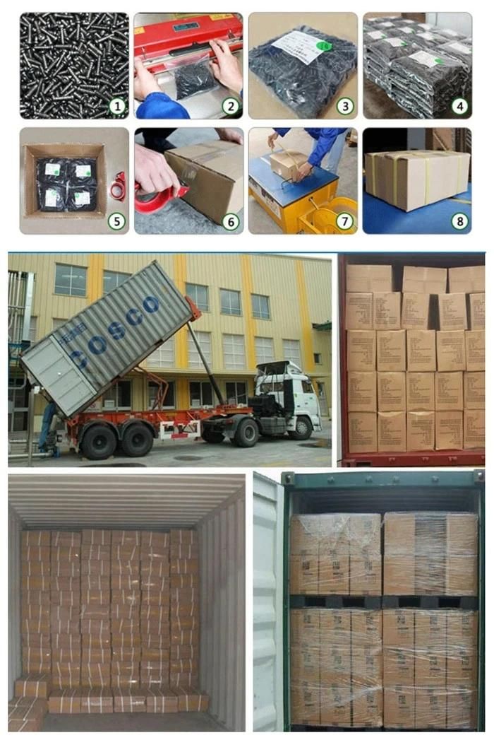 Stainless Steel Rivet Nuts Open End and Closed End