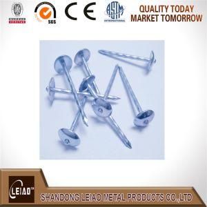 Eg Unbrella Head Roofing Nails