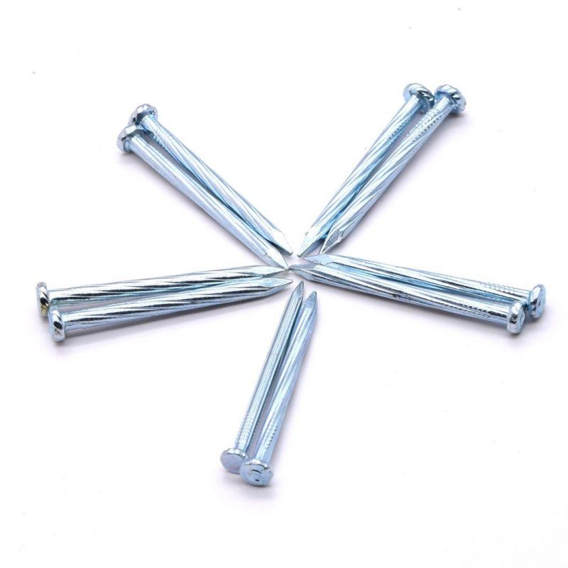 Electro Galvanized Concrete Steel Nails Suppliers