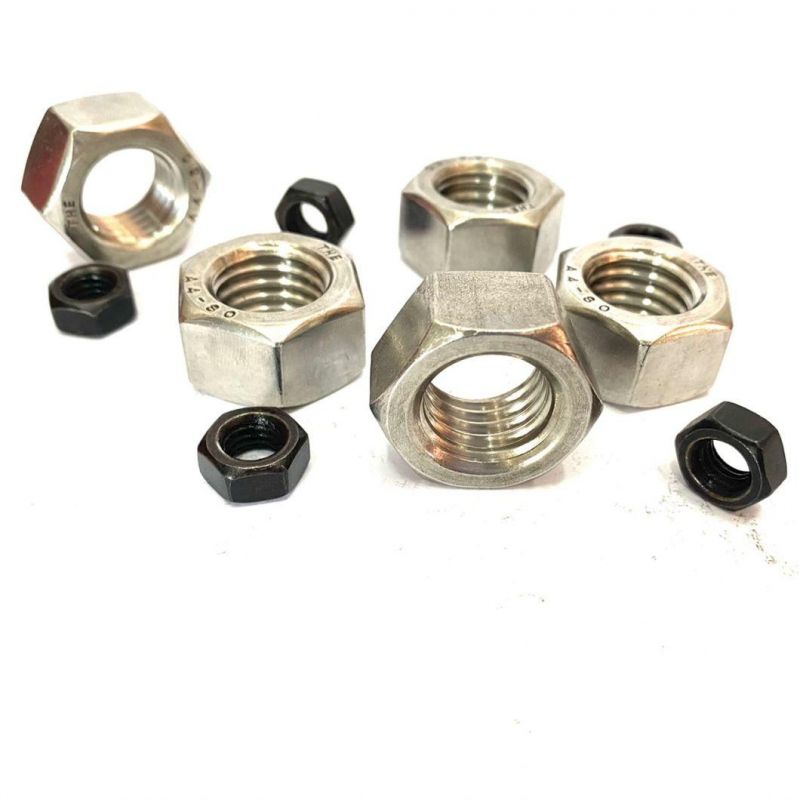 Water Treatment Heavy Industry Mining Stainless Steel Brass Nylon Zinc Plated Passivated Plain Black Hex Nuts