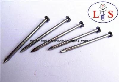 Iron Nail Wire Tack with High Quality