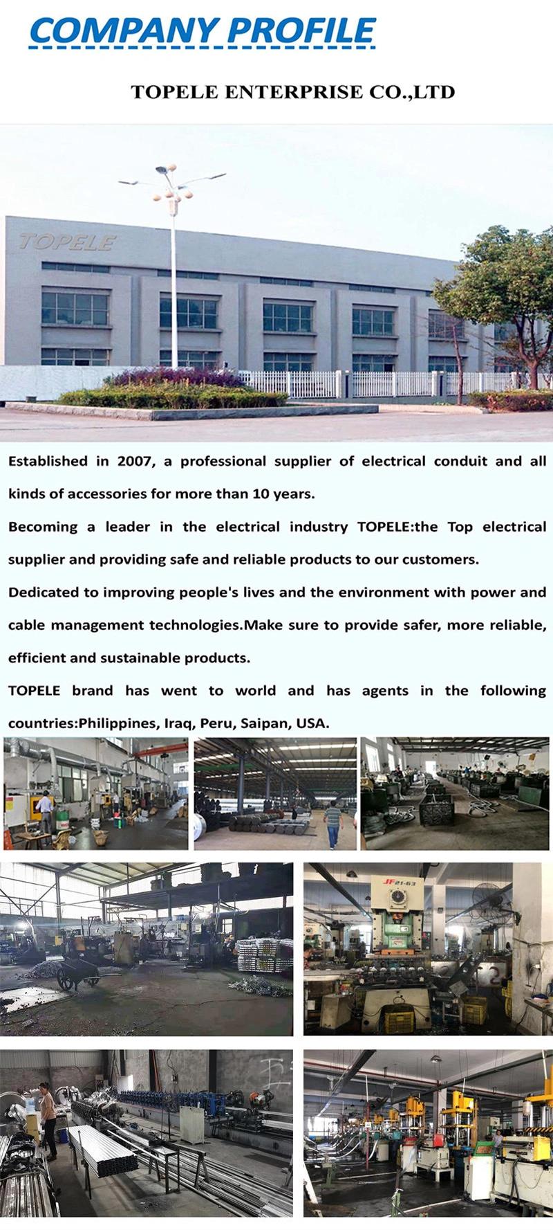 Hot Sale M6 M8 M10 Long Spring Channel Nut Steel Electro Galvanized