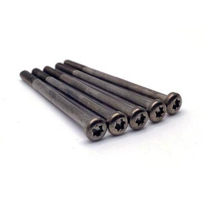 M5 40mm Carbon Steel 10b21 Black Nickel Plated Torx Pan Head Screw