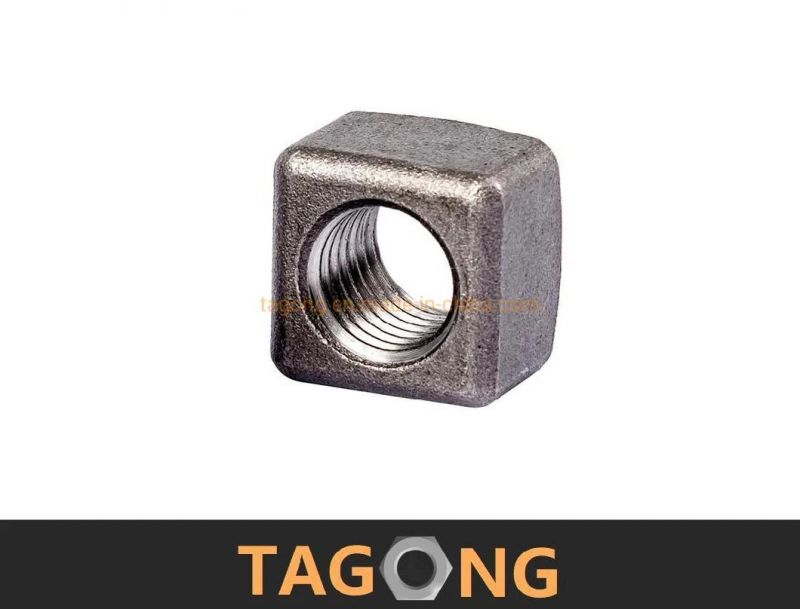 Carbon Class12 6h M20 Square Nuts Truck Nuts