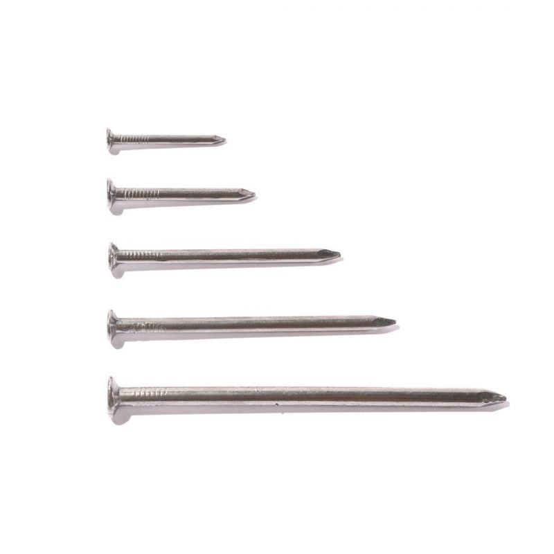 Lower Factory Price Polished Common Round Iron Wire Round Head Nails