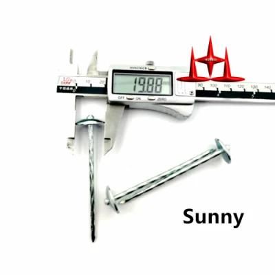 Umbrella Head Roofing Nails/ Galvanized Twisted Shank Corrugated Nails