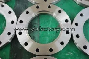 According to Drawing Customized Pressure Vessel Steel Slip Blind Flange