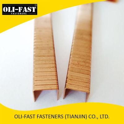17ga Sb103020 Carton Staples