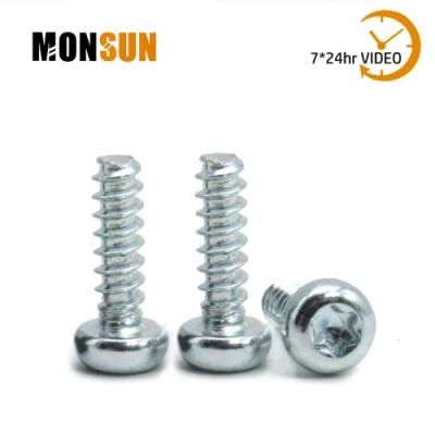 Zinc Plated Torx Raise Cheese Head Thread Forming Screw for Plastic