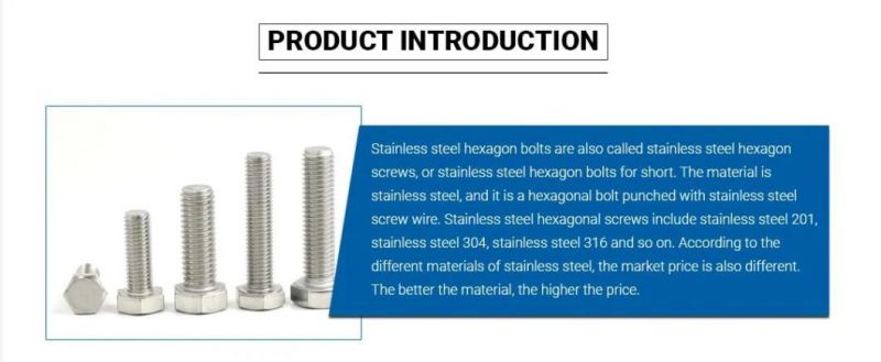 Stainless Steel Hex Bolt/Carriage Bolt/Anchor Bolt/Flange Bolt/T Bolt/Square Head Bolt/Hex Socket Cap Screw/Square Bolt/Wing Bolt/Eye Bolt/Knurled Bolt/U Bolt