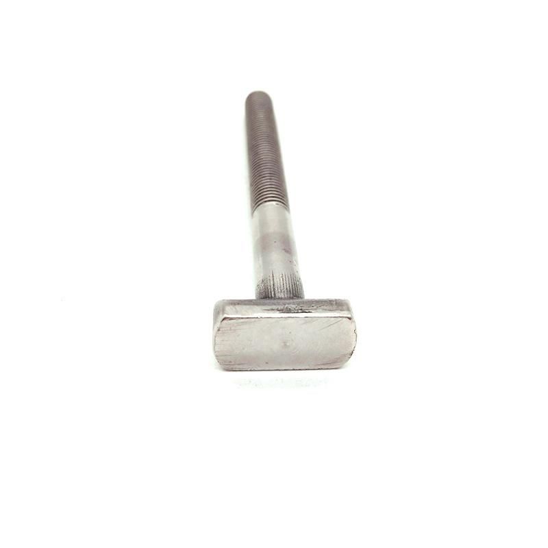 Stainless Steel/Carbon Steel T Type Head Bolts