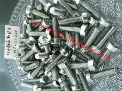 Self Tapping Screw Torx Screw Garden Machinery Screw Sealing Screw