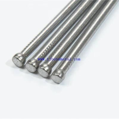 New Hot Selling Stainless Steel Round Head Nails Wholesale Good Price