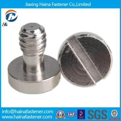 DIN553 High Precision Screw for Eyeglass (micro screw)