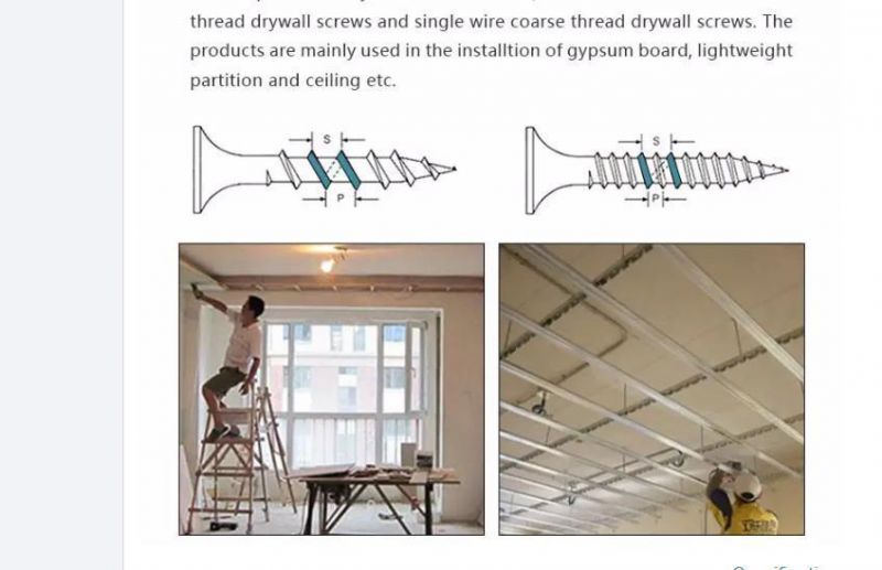 Sea Freight / Land Air China Factory Self Drilling Screw/Drywall Tappin Drywall Tapping Screw